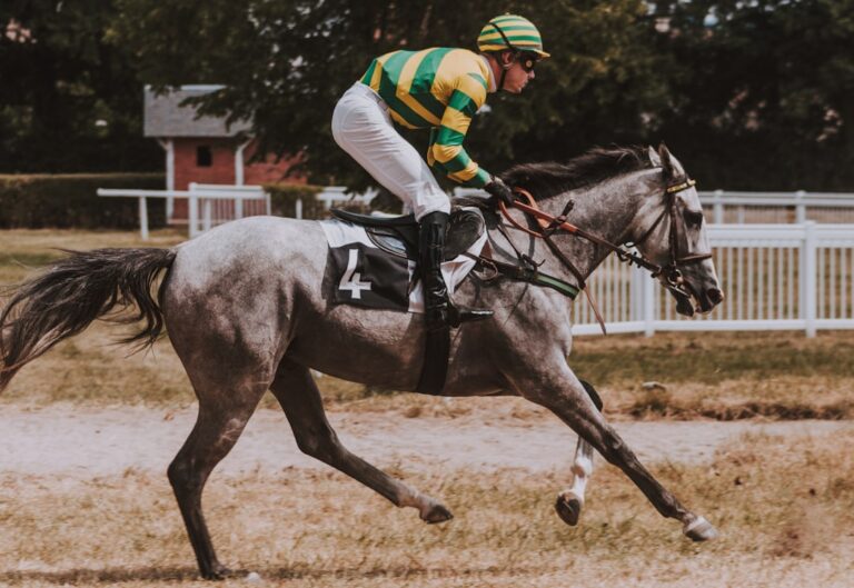 Exciting Races and Entertainment at Caymanas Park